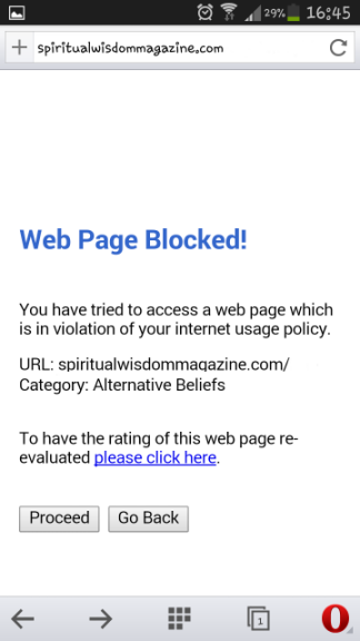bunnings wifi - web filter
